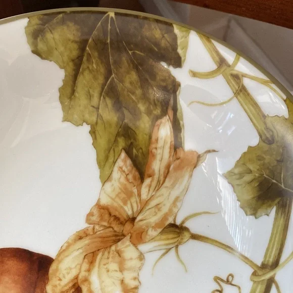 Sonoma Williams Botanical Pumpkin coupe soup bowl 8.75” x 2” deep - Picture 7 of 8